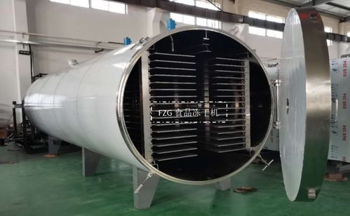 大型食品凍干機(jī)交付廣西，賦能果蔬凍干深加工技術(shù)升級(jí)